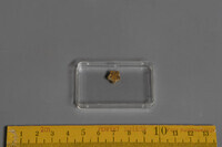 F 03449
<br/>
<br/>
<em></em>